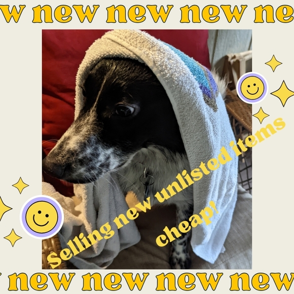 Bee's live show listing! Bee gets you ran FAST 💪 🐝 - Picture 2 of 9